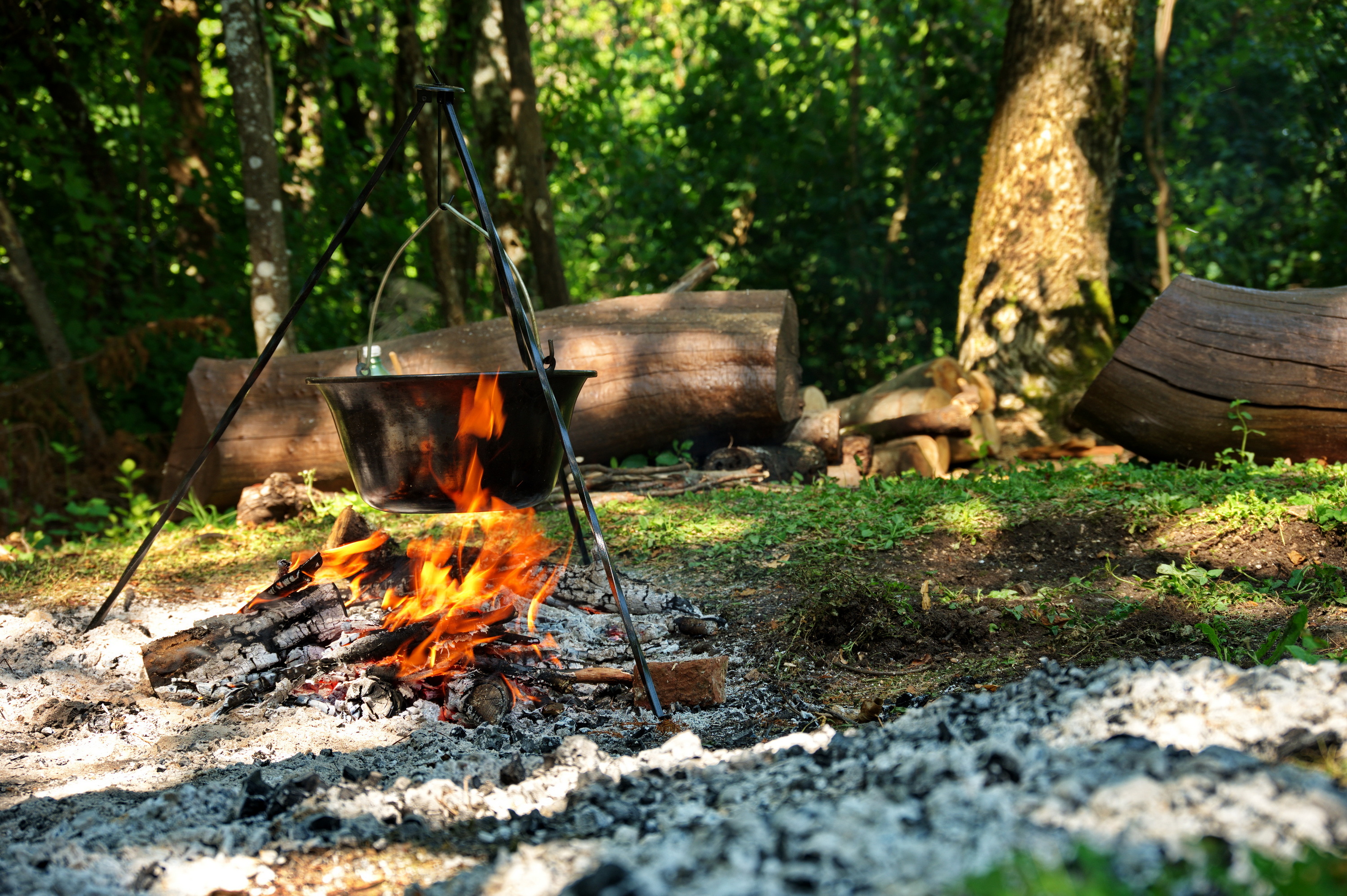 Bushcraft & Camps